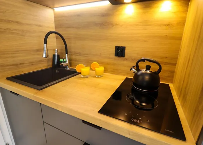 Apartment Sander Krakau